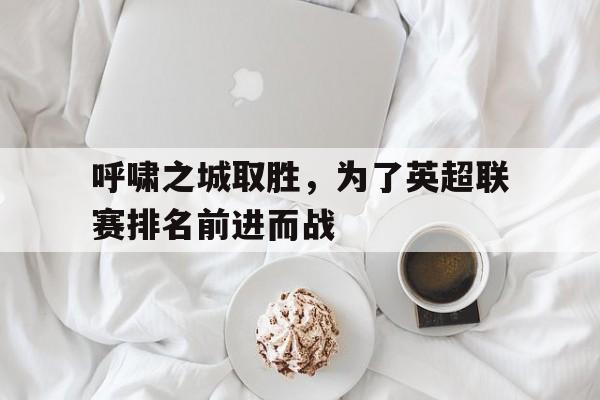 关于呼啸之城取胜，为了英超联赛排名前进而战的信息